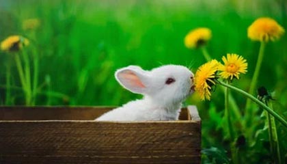 开云APP-“极端天气、极端速度”——最艰难赛段全纪录，极端天气安全教育ppt