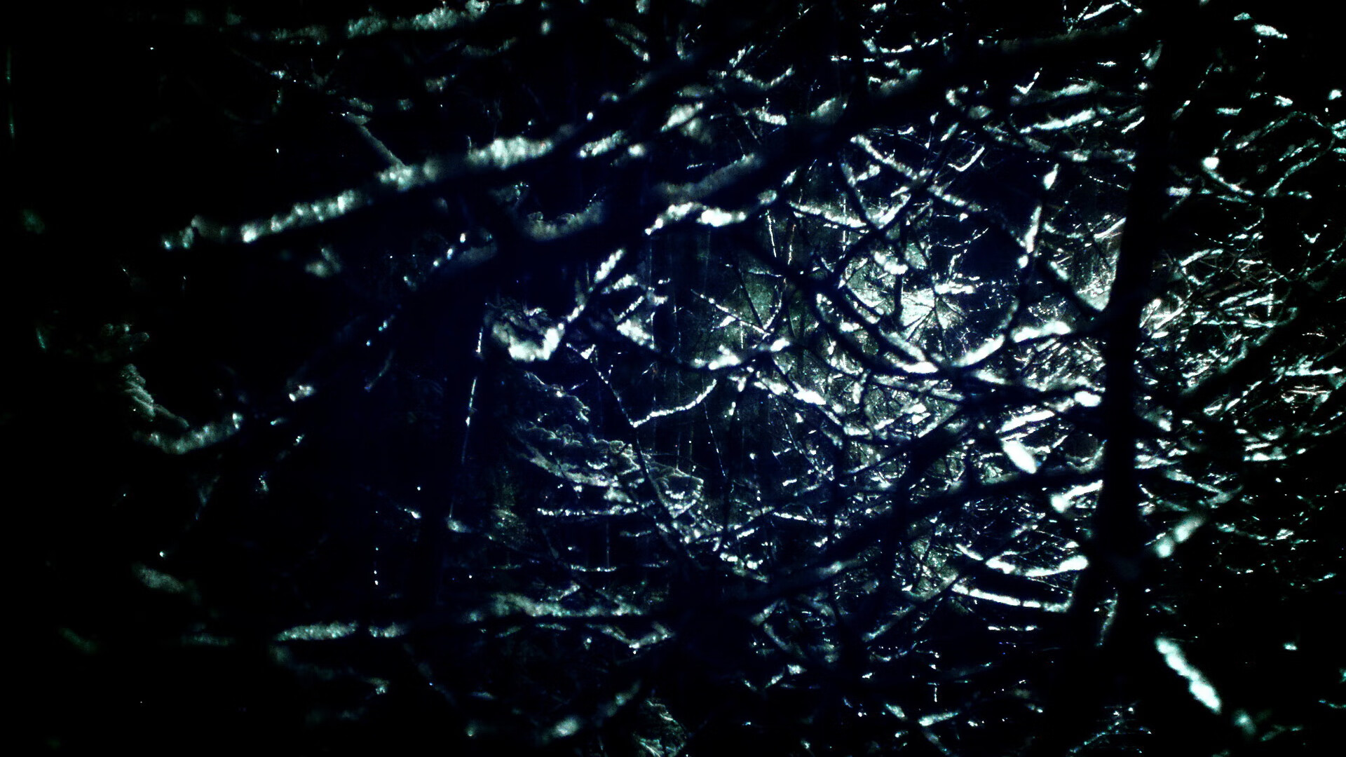 开云体育中国官网-WRC芬兰站：高速激战震撼人心，芬兰cp