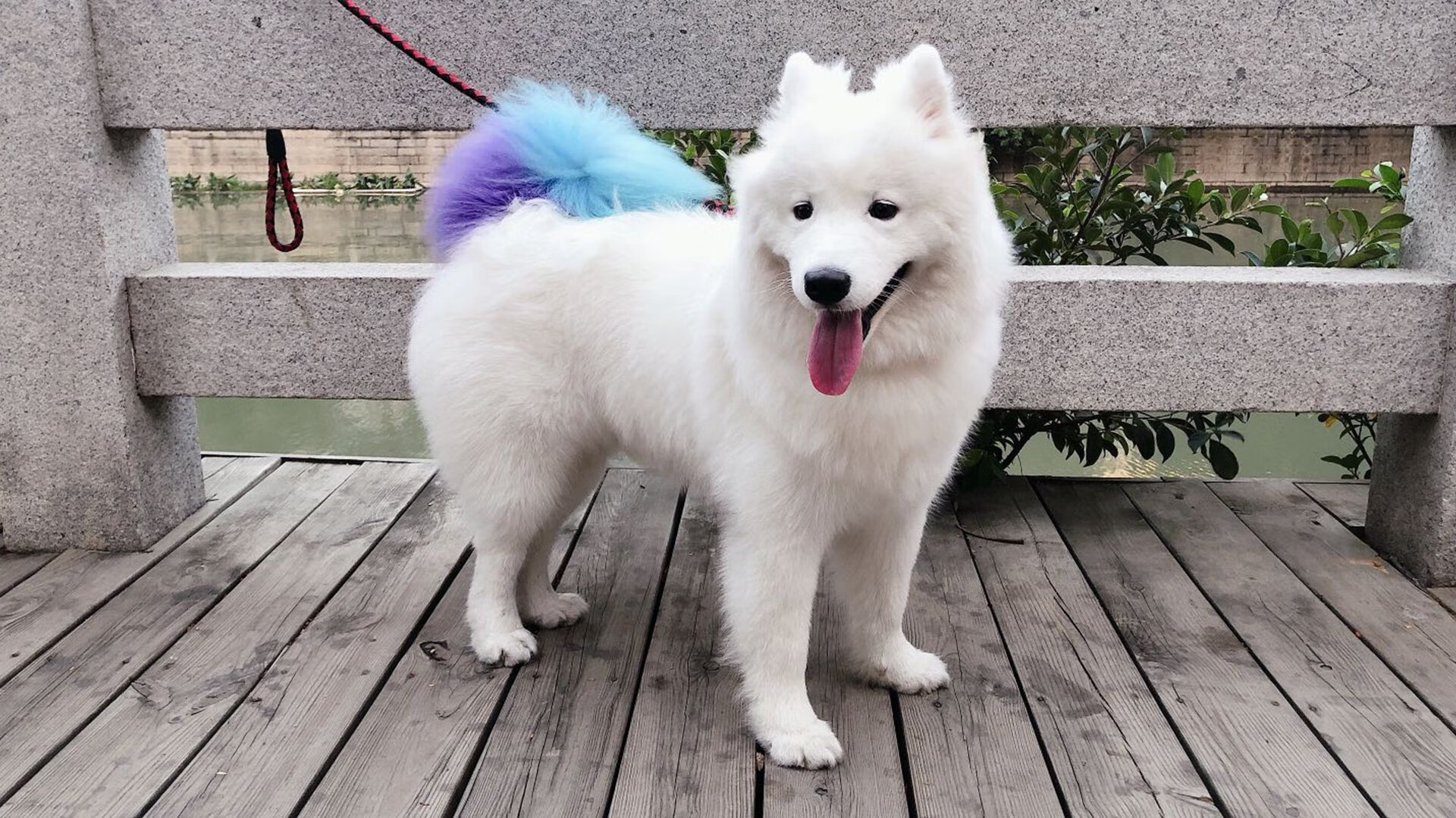 开云全站-_追逐速度的未来探索：高速飞行器竞赛_，超高速飞行器