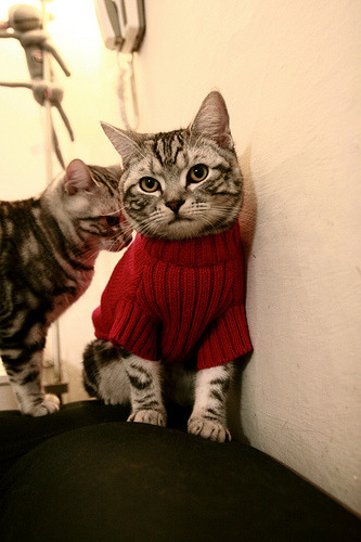 开云·体育官网APP下载-“西甲焦点战：豪门对决点燃胜利欲望”，西甲豪门俱乐部