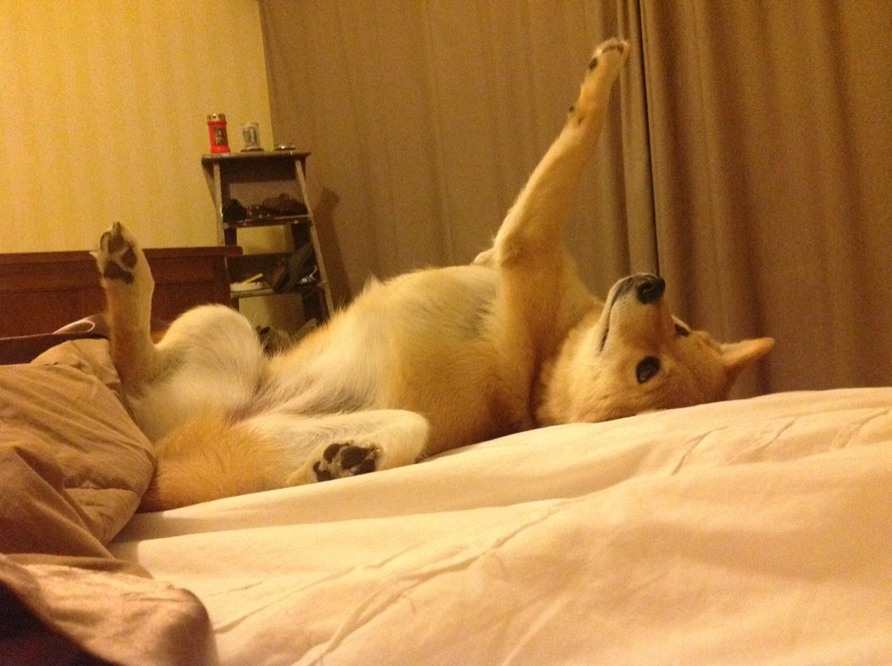 开云体育APP下载-《Dota 2传奇战队，荣耀再现场上爆发》，dota2传奇相当于lol什么段位