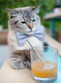 开云·体育全站登录地址-《守望先锋》联赛与《风暴英雄》世界锦标赛的团队协作分析，守望先锋联赛和暴雪的关系