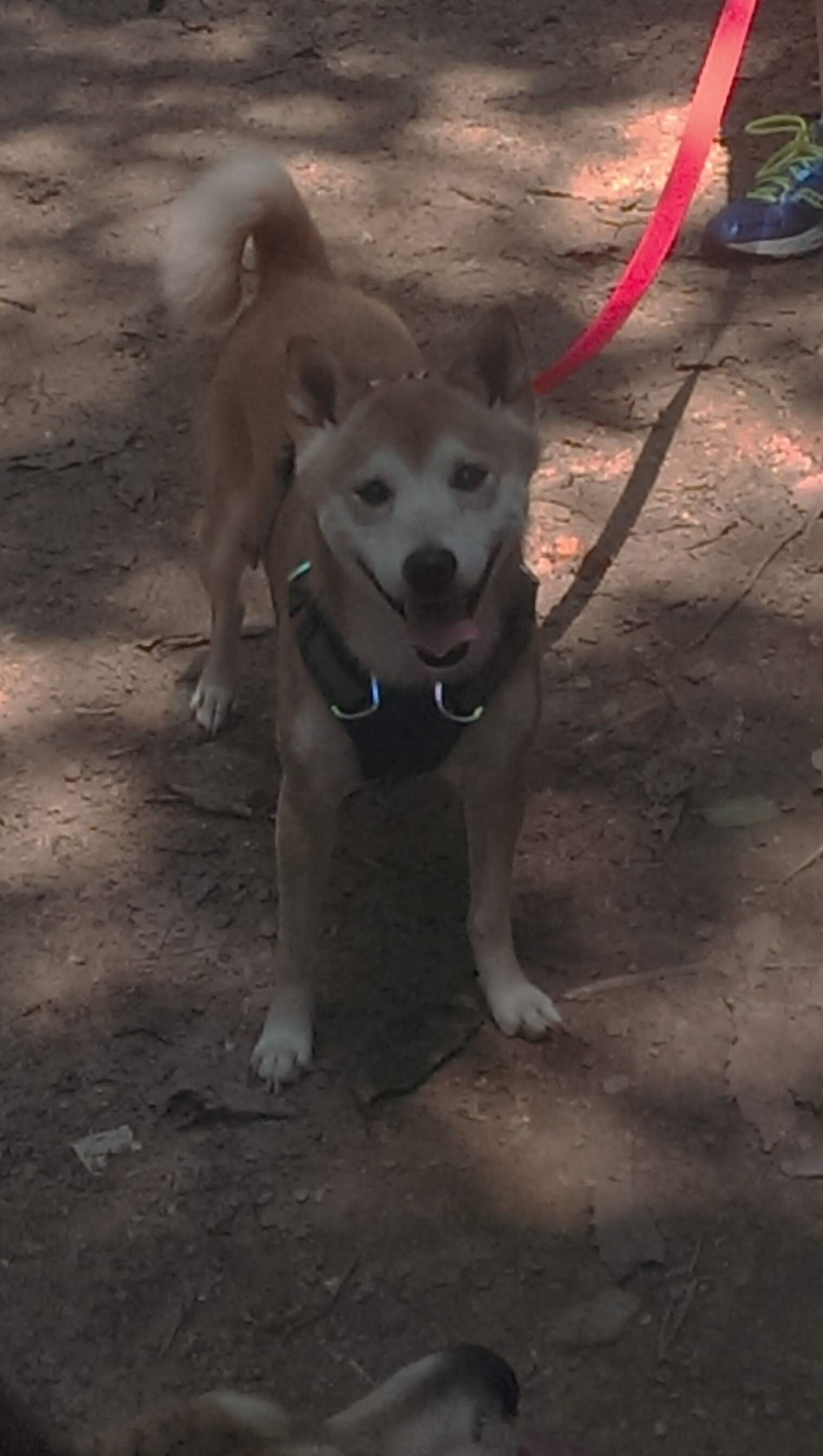 kaiyun 开云体育-今日MVP：王强凭借关键三分摘得当场最高荣誉！，王强打多少分