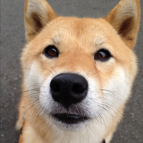 开云全站-历史性碰撞：经典赛事回顾，历史性突破什么意思