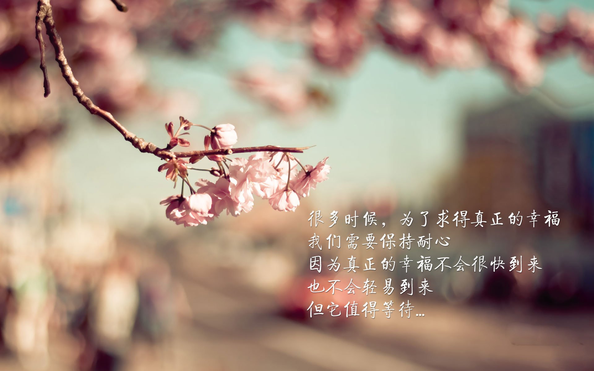 开云官方网页登录-哥伦比亚马术协会与非洲马术协会开展技术援助项目，提升当地水平。