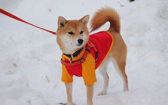 开云全站-影响历史：NBA最值得铭记的季后赛片段，nba季后赛球员得分榜历史排名