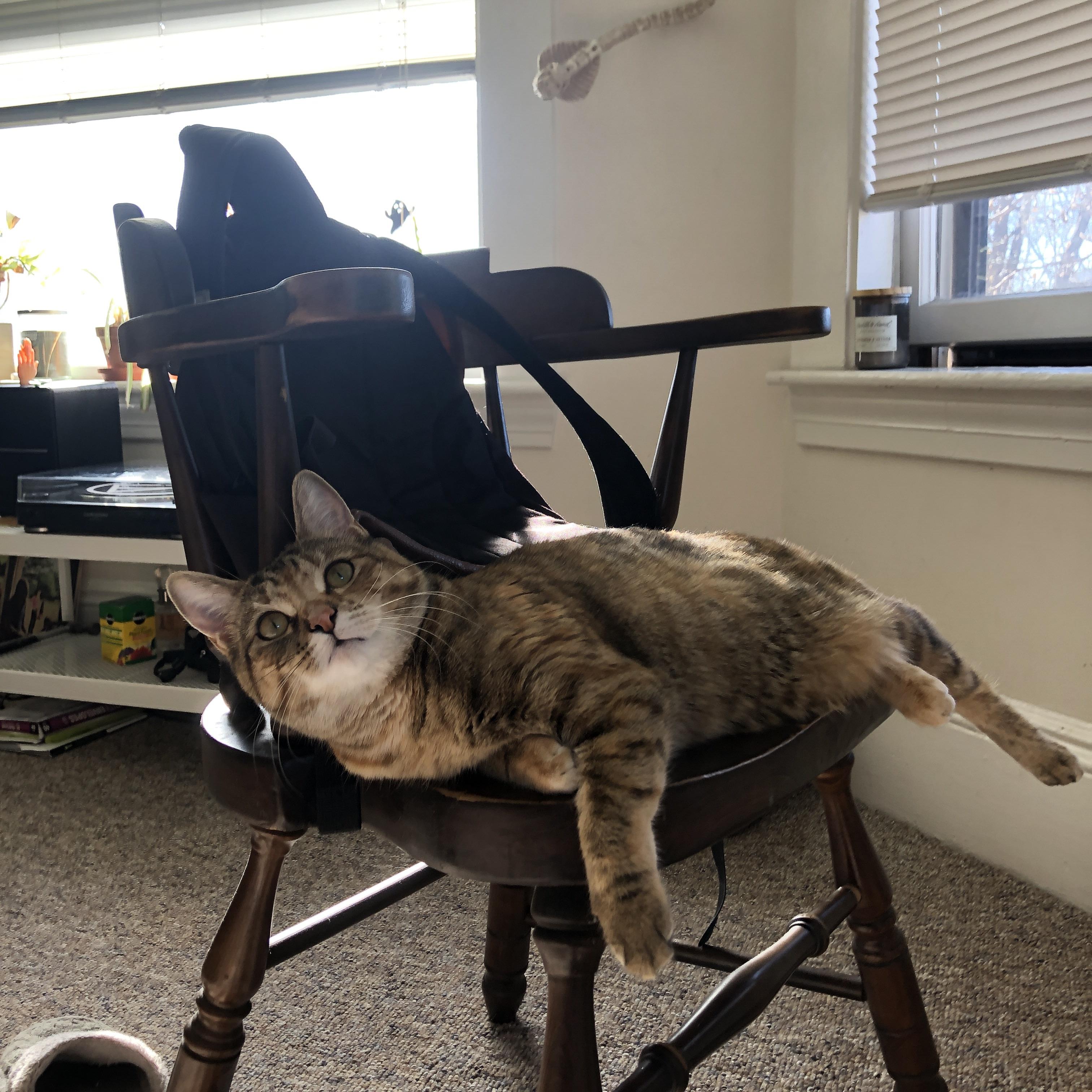 kaiyun体育app-篮球场馆环境绿色改造项目推进，篮球场绿化效果图