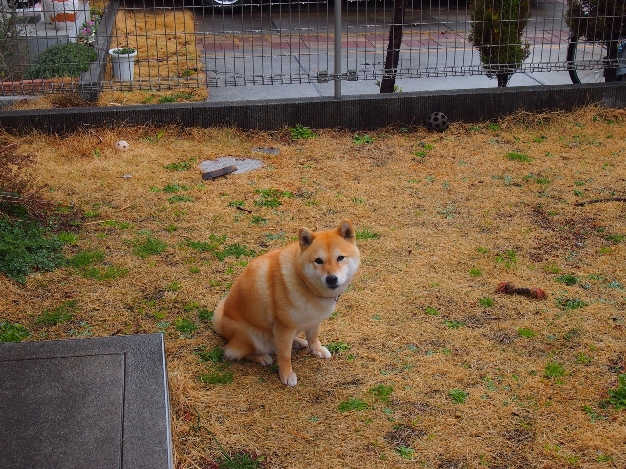 kaiyun-前任名帅回归执教，球队复苏势头明显，前足球教练