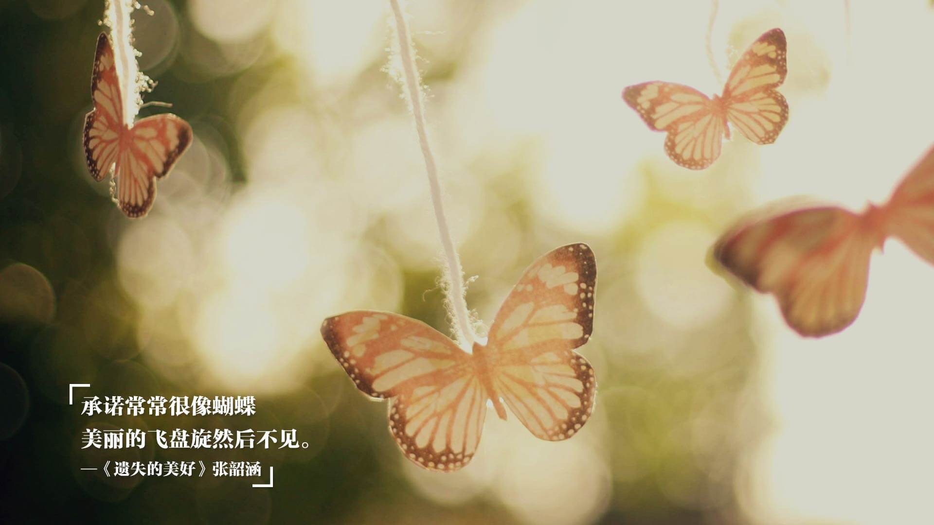 沃尔夫斯堡连败升级区,主帅面临压力,沃尔夫斯堡首发