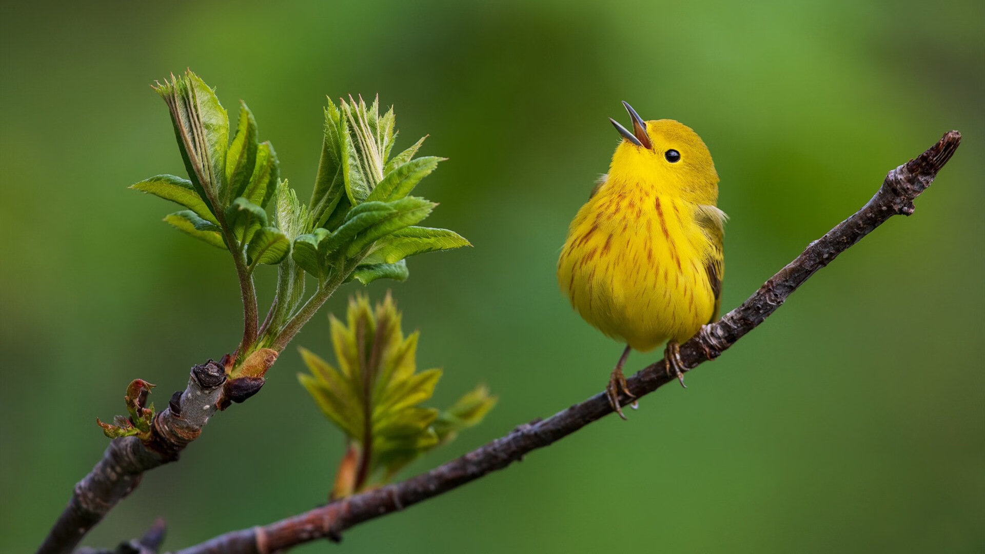 开云·Kaiyun网页版-蓝月亮客场负于阿森纳，争四形势严峻，蓝月亮是