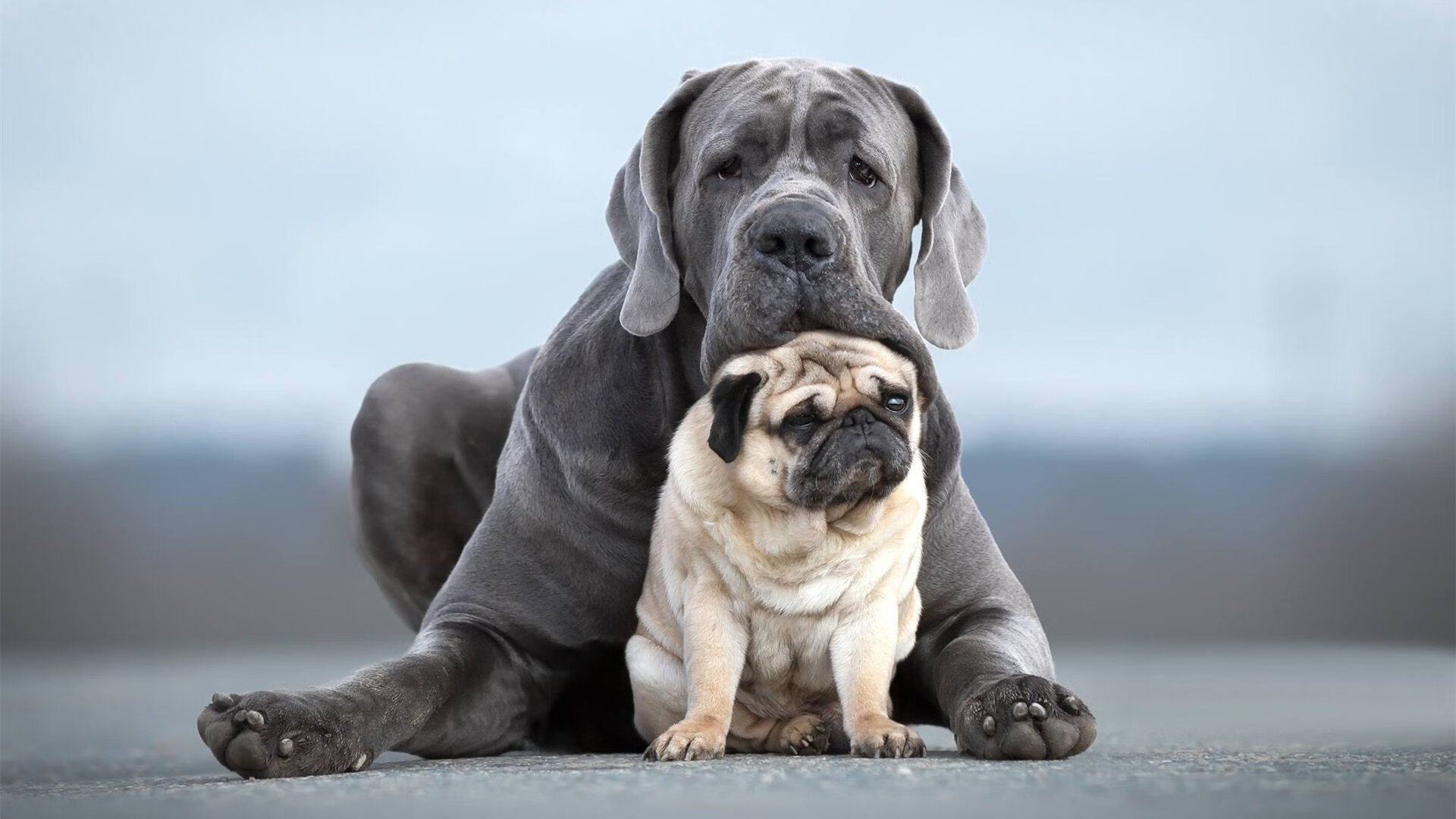 开云网页版-“电动冲浪：马鞍山赛场极速与环保并行，观众热血沸腾”