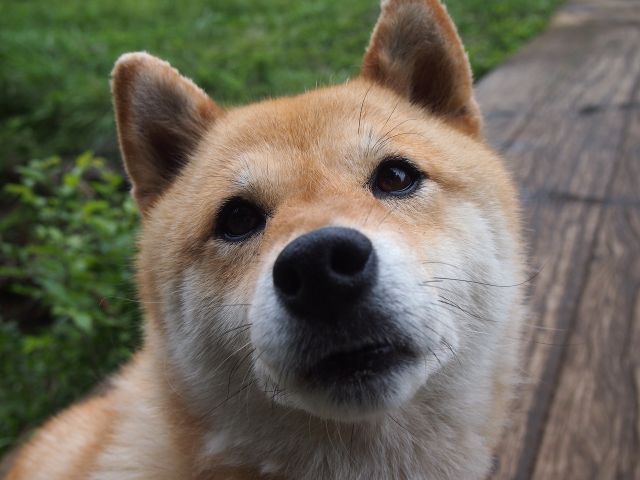 开云·体育全站登录地址-世界杯激战难忘：精彩比赛瞬间集锦！，世界杯激动人心时刻