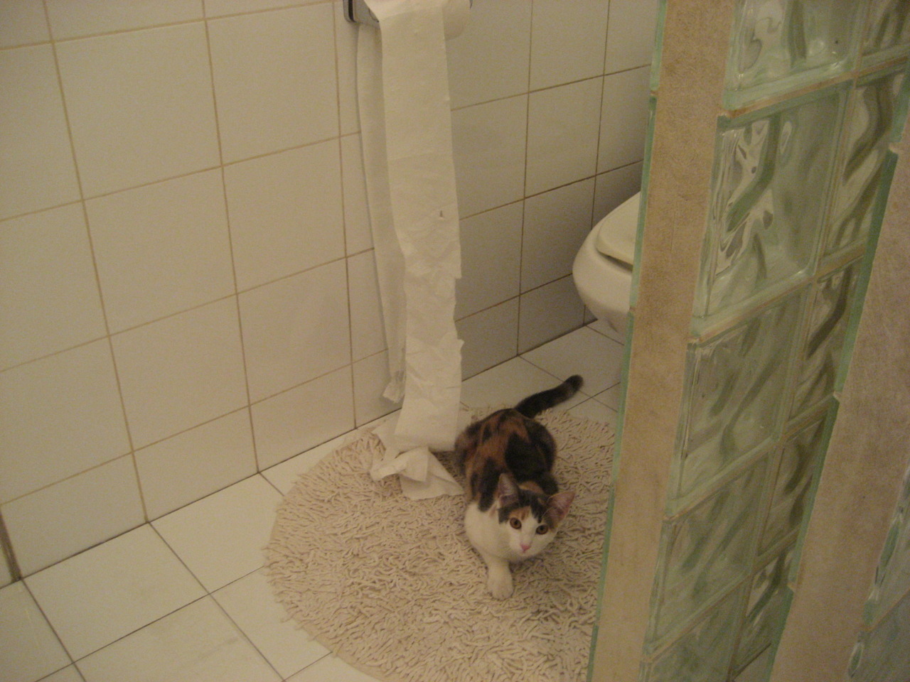 划频划幅匹配度提升,减少能量浪费,划幅和划频