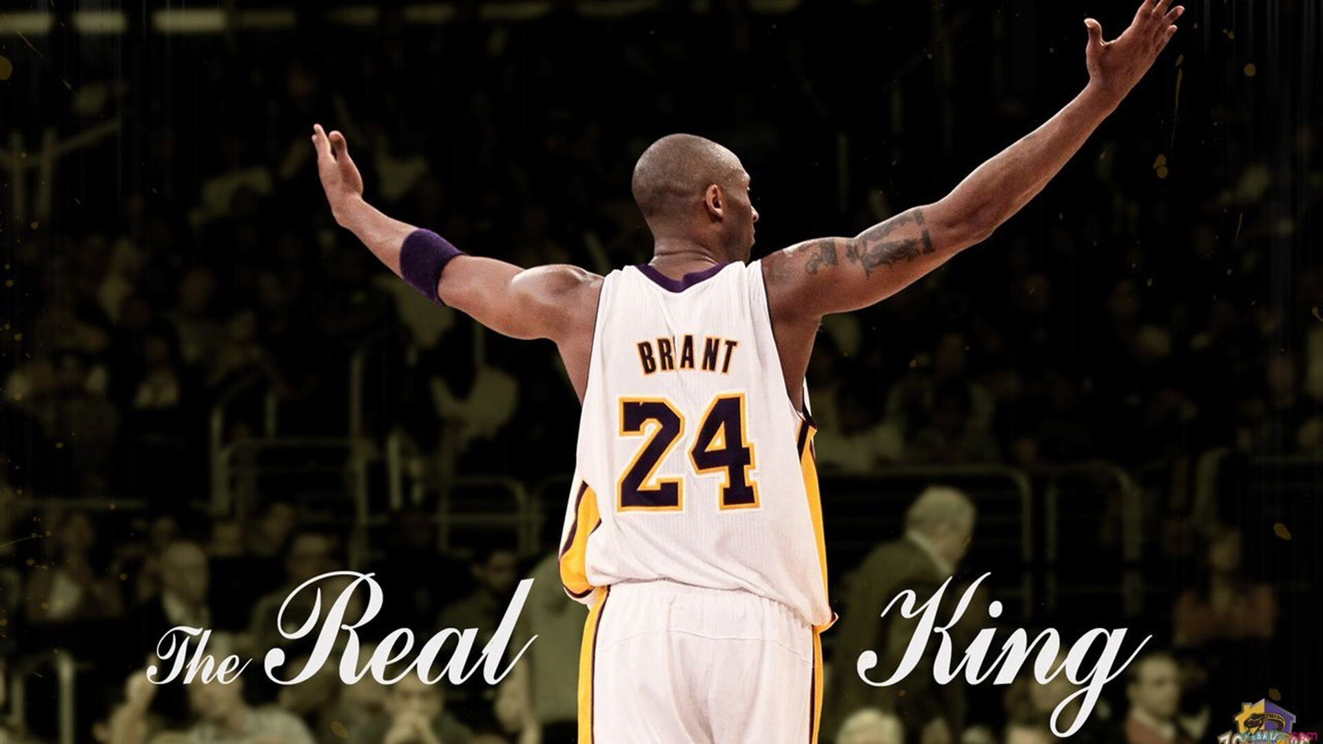 开云体育中国官网-太阳在客场绝杀骑士，布克最后一投成比赛焦点！，布克36分 太阳力克骑士